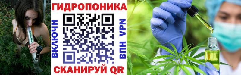 Конопля индика  Купить где  Инсар 
